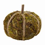 Mudpie Mini Moss Pumpkin