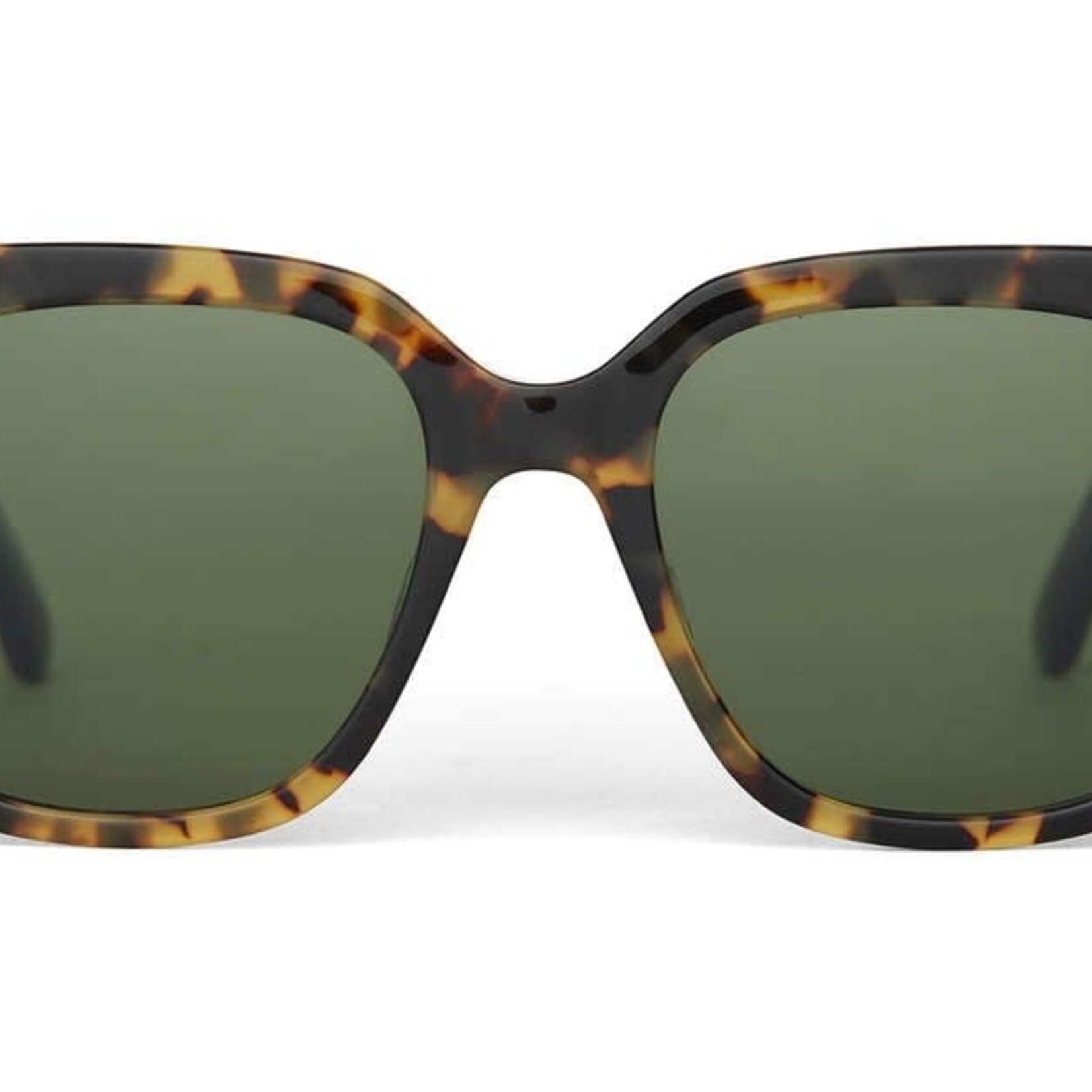 Toms Natasha Polarized
