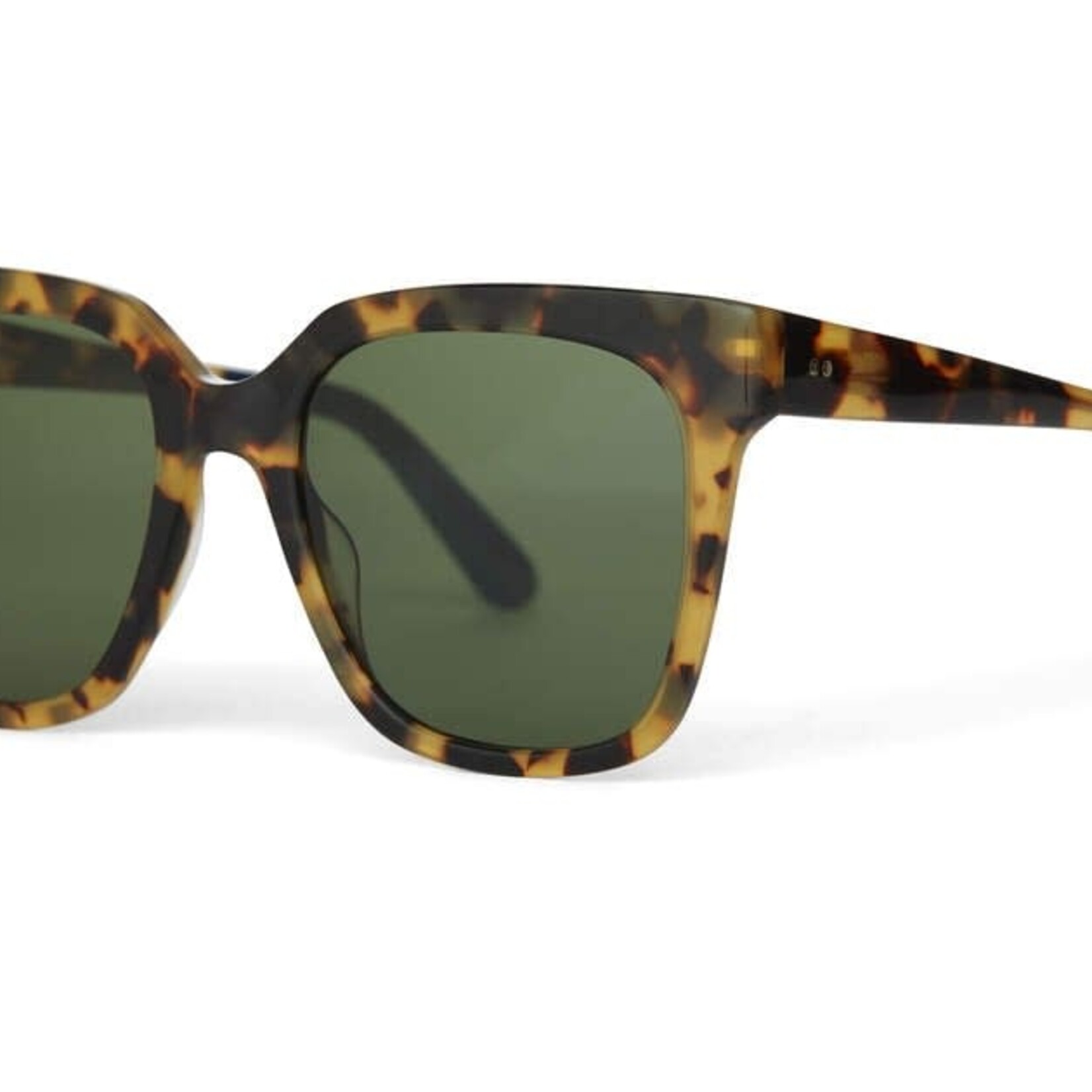 Toms Natasha Polarized