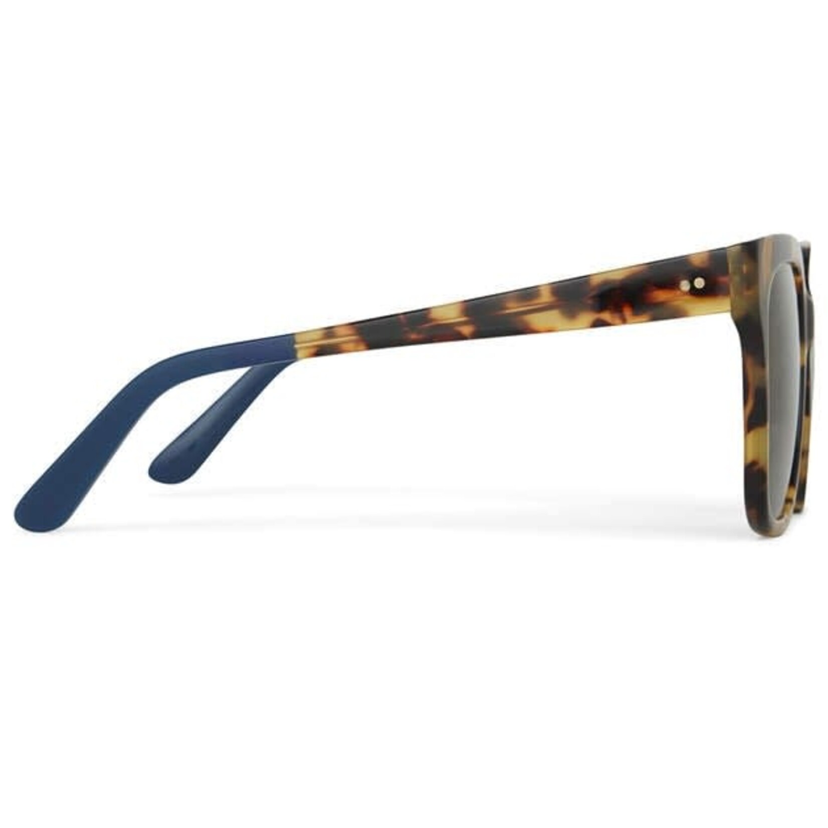 Toms Natasha Polarized