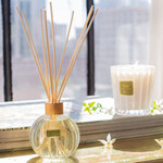 Room Diffuser