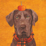 Cocktail Napkin Best Friend