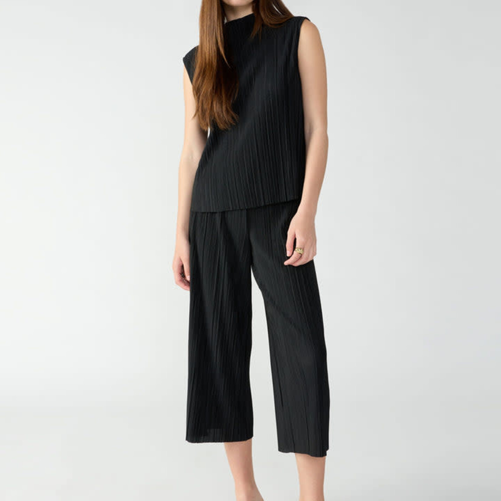 Sanctuary Clothing Plisse Semi High Rise Culotte