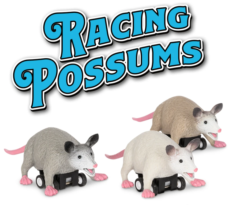 Racing Possums