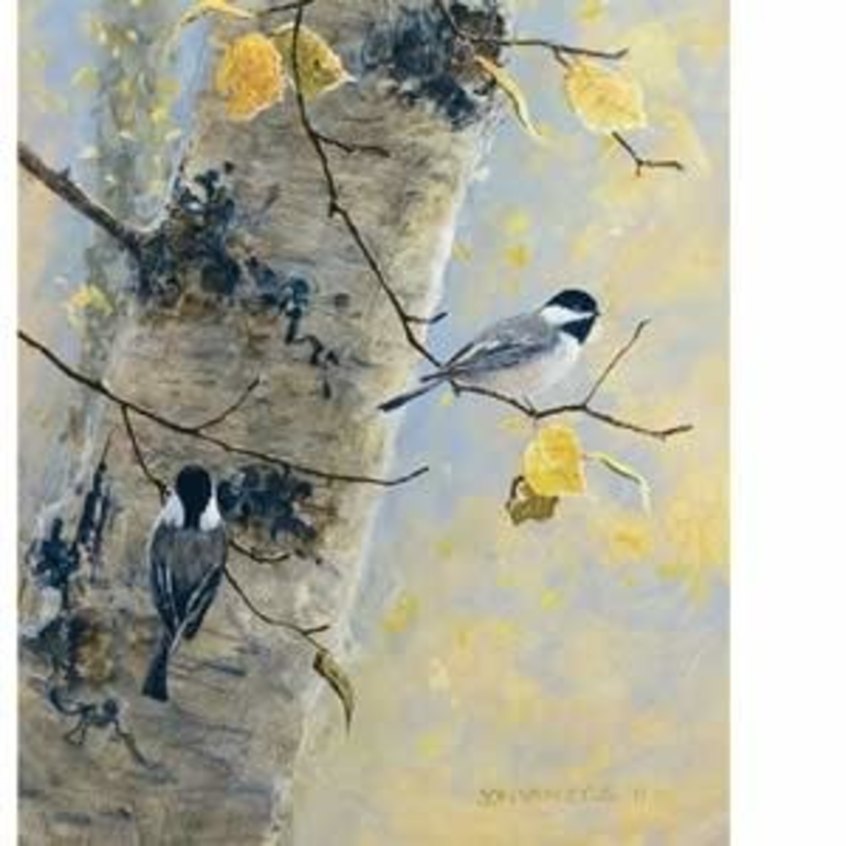 Jon Van Zyle Birch Birdies | Jon Van Zyle