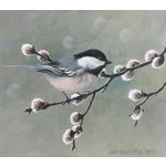 Jon Van Zyle Chickadee Dee Dee