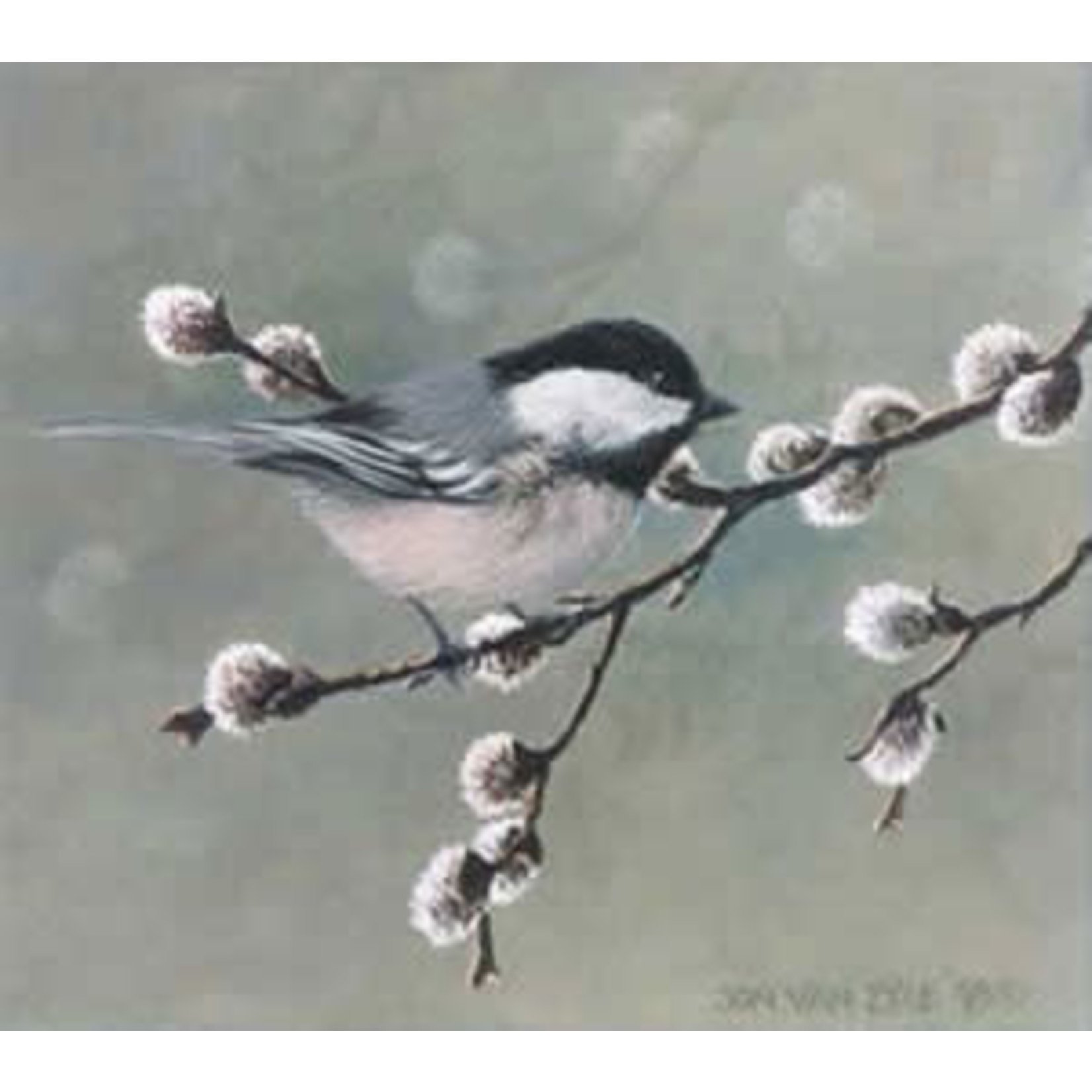 Jon Van Zyle Chickadee Dee Dee | Jon Van Zyle