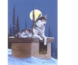 jon-van-zyle-moonlit-leader-