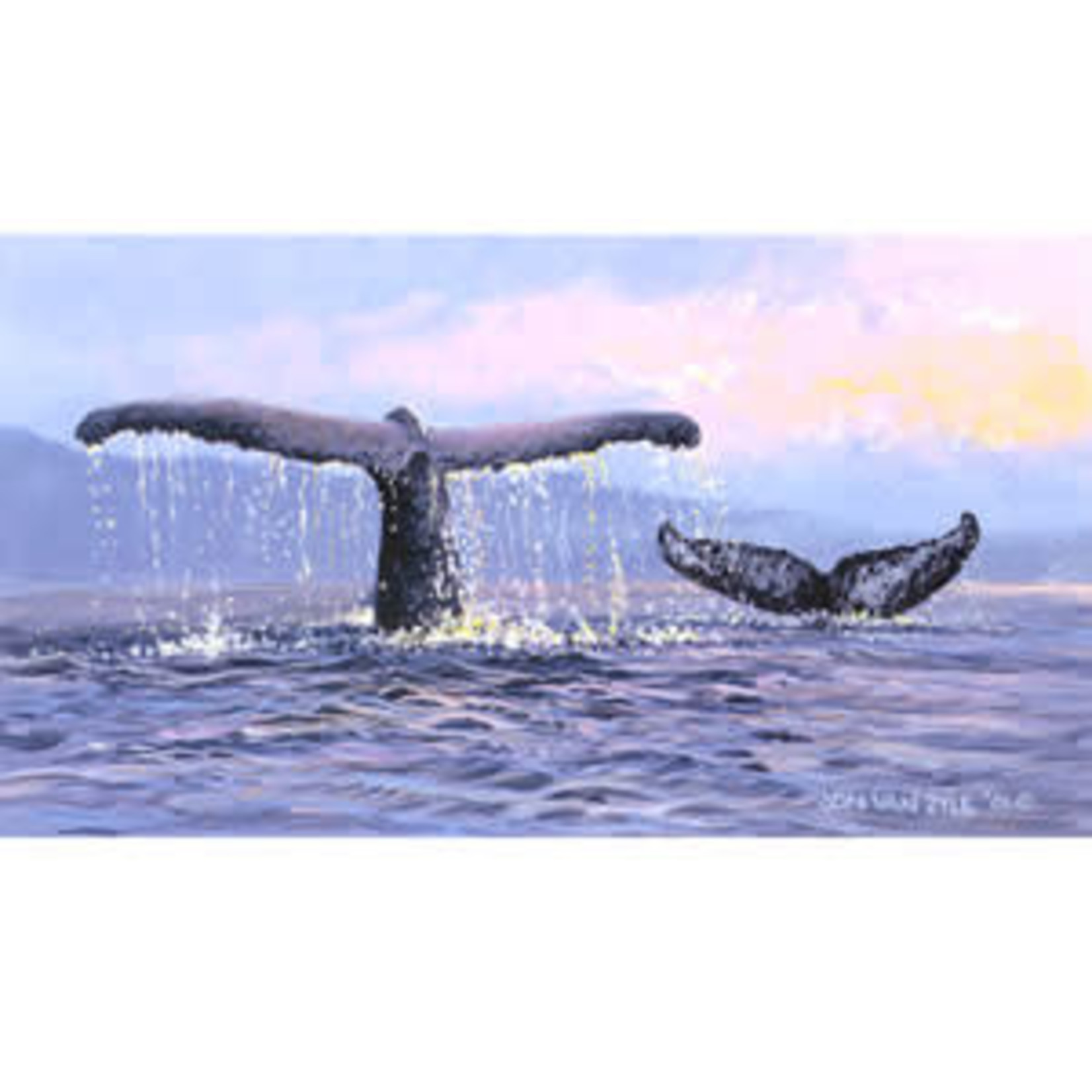 Jon Van Zyle Water Dance | Jon Van Zyle
