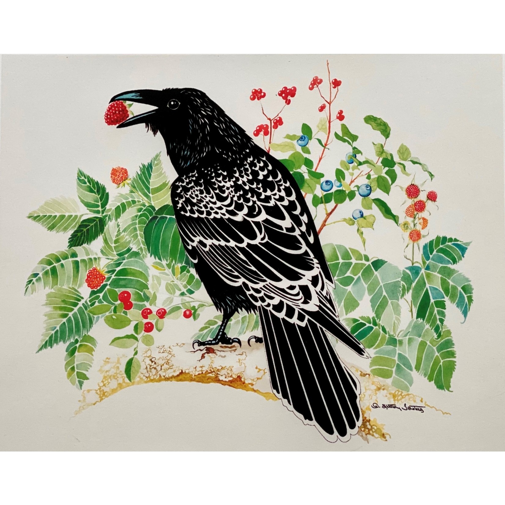 Alice Tersteeg Raven Loves Berries (art card) |  Alice Tersteeg