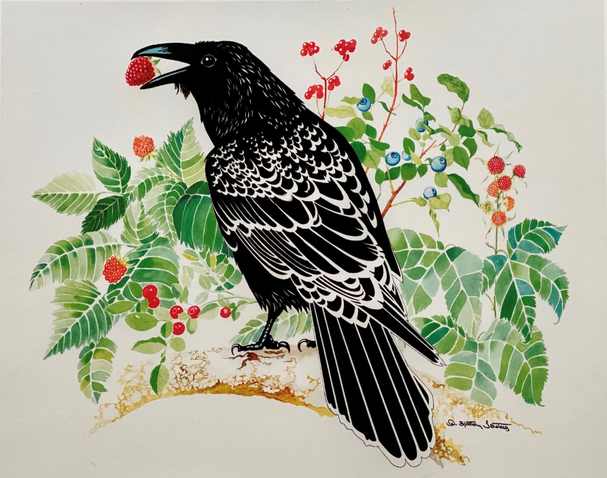 Raven Loves Berries (art card) | Alice Tersteeg - Annie Kaill's