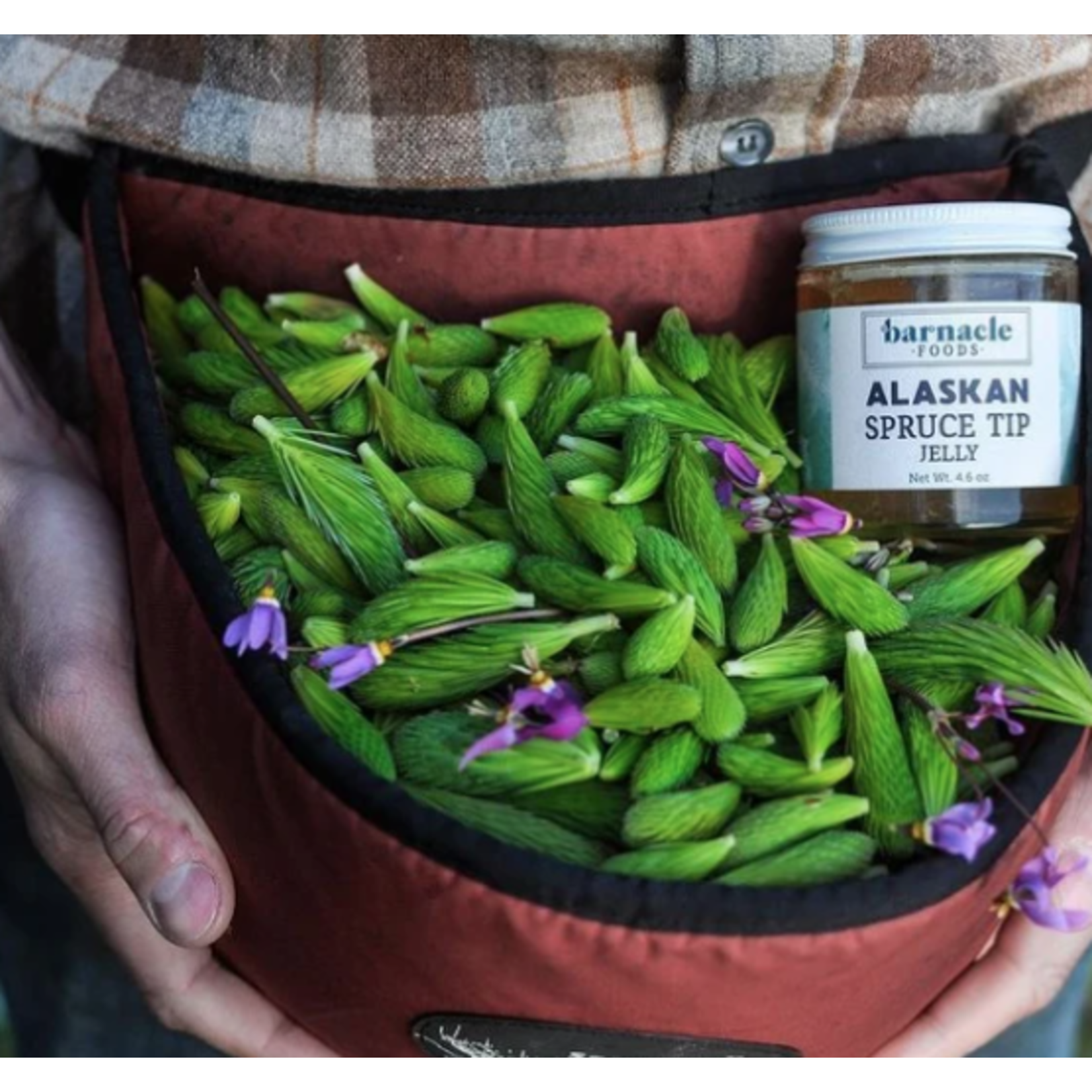 Barnacle Foods Spruce Tip Jelly | Barnacle Foods