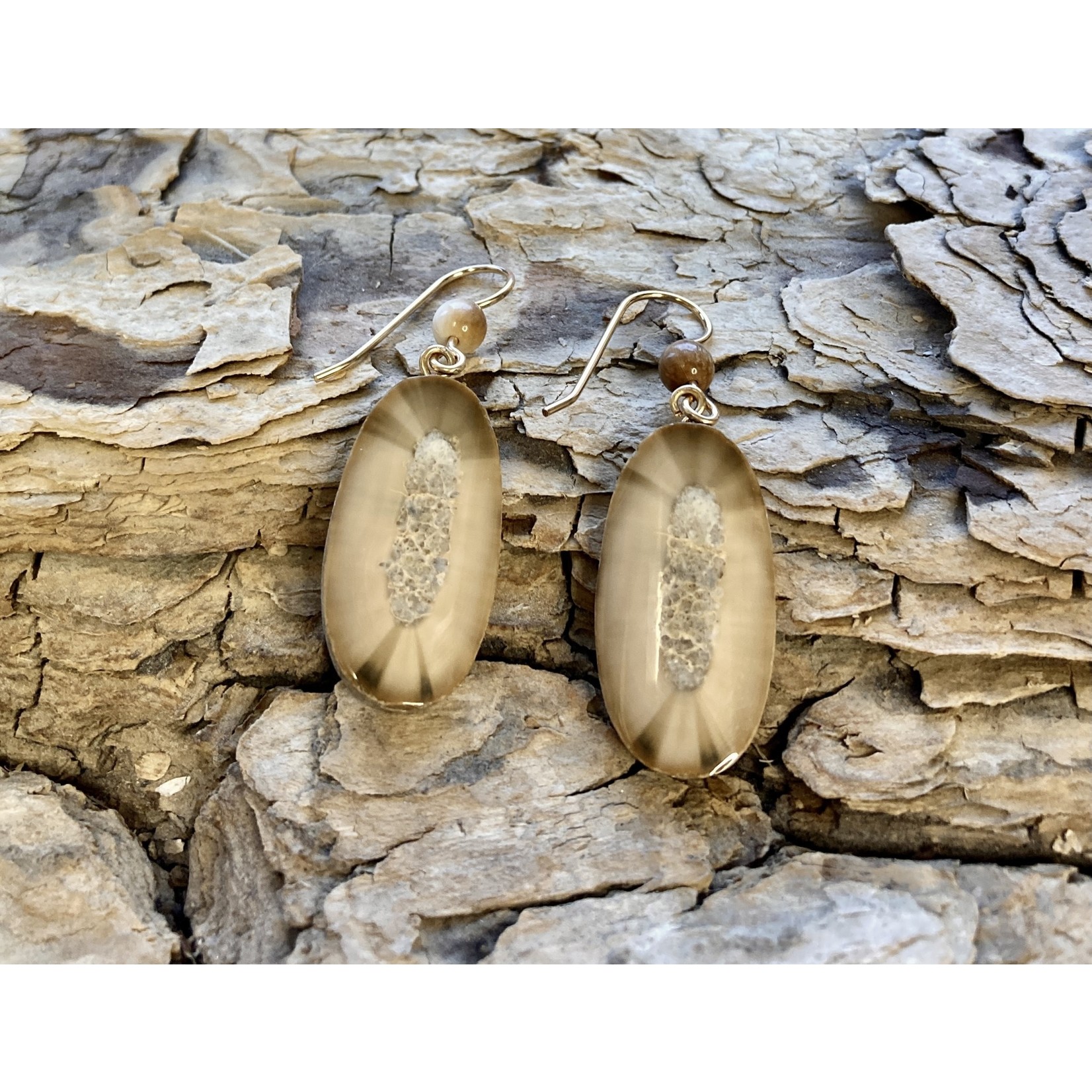 Johnny Ellis Fossil Ivory Earrings #1 | Johnny Ellis