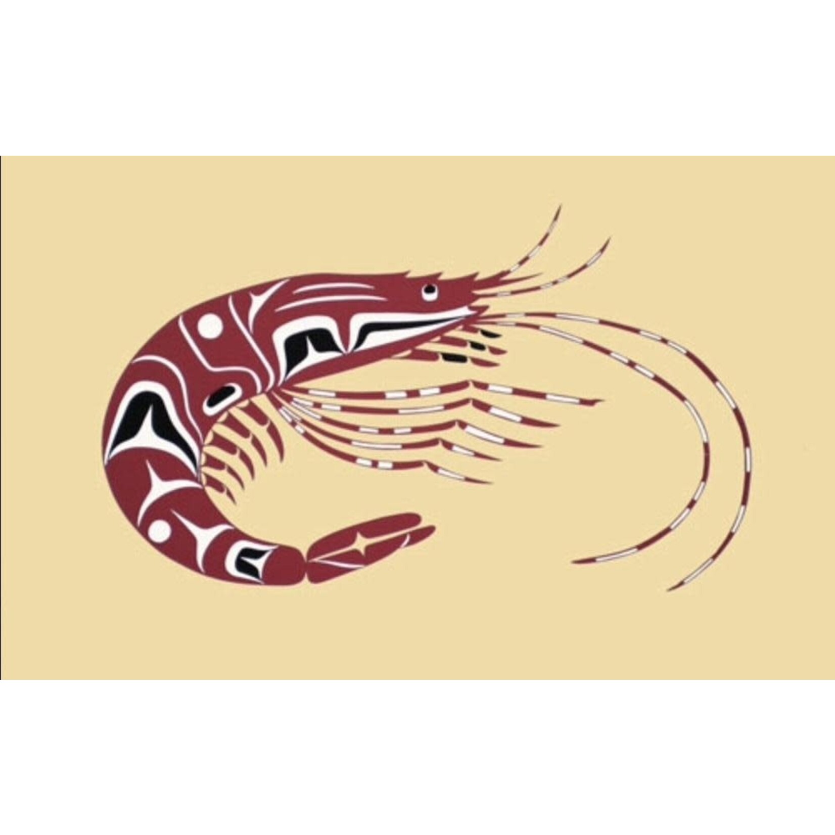 Allie High Scampi | Allie High