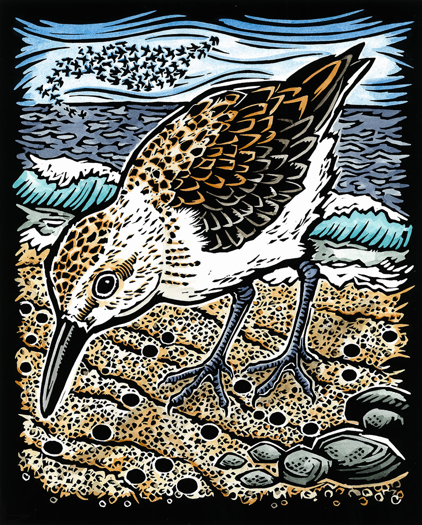 On the Flyway | Evon Zerbetz - Annie Kaill's