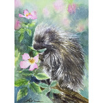 Chihiro Pierce Baby Porcupine (framed original)