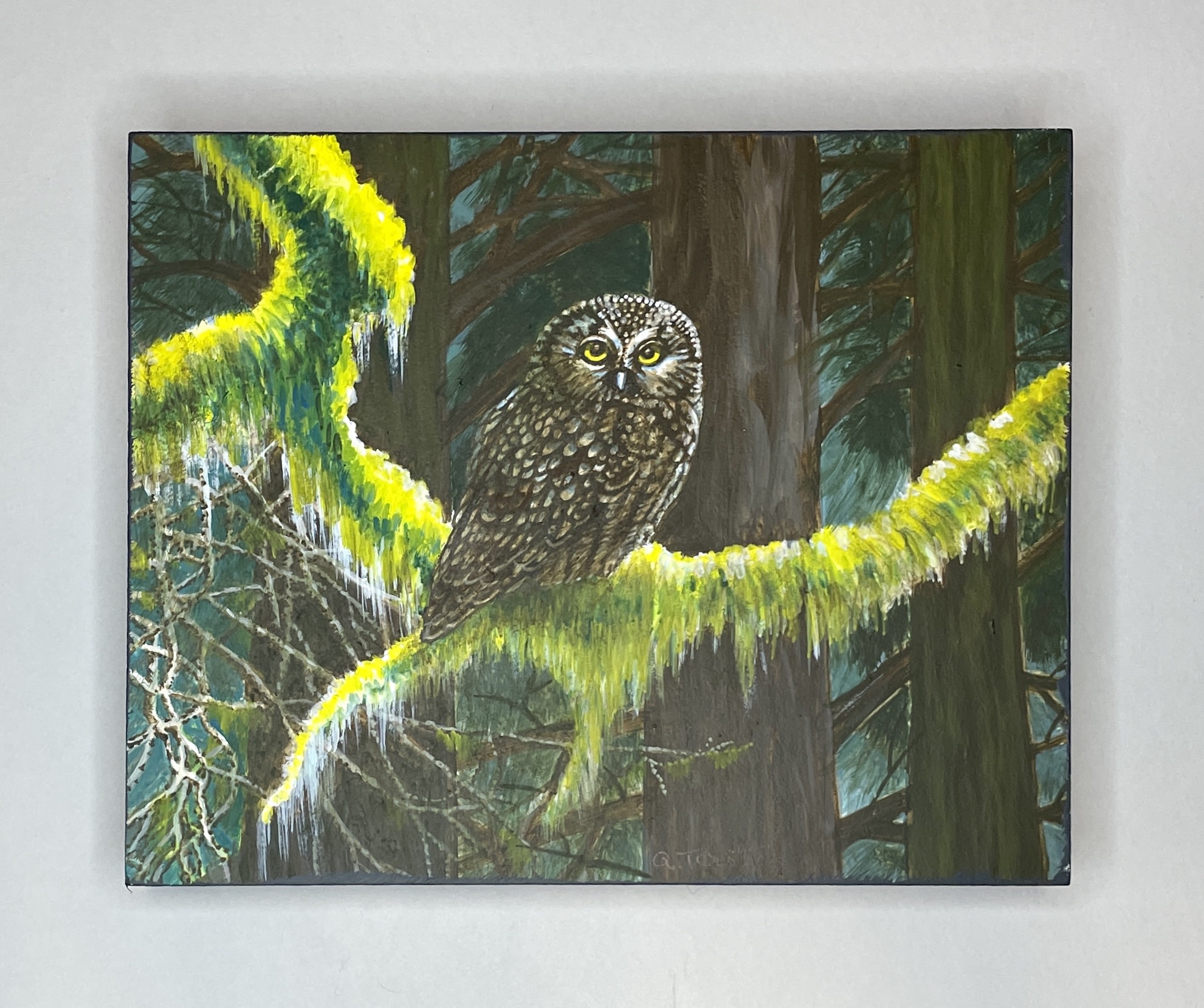 alice-tersteeg-owl-alice-