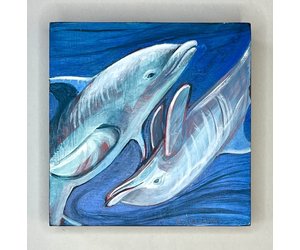 alice-tersteeg-two-dolphins-