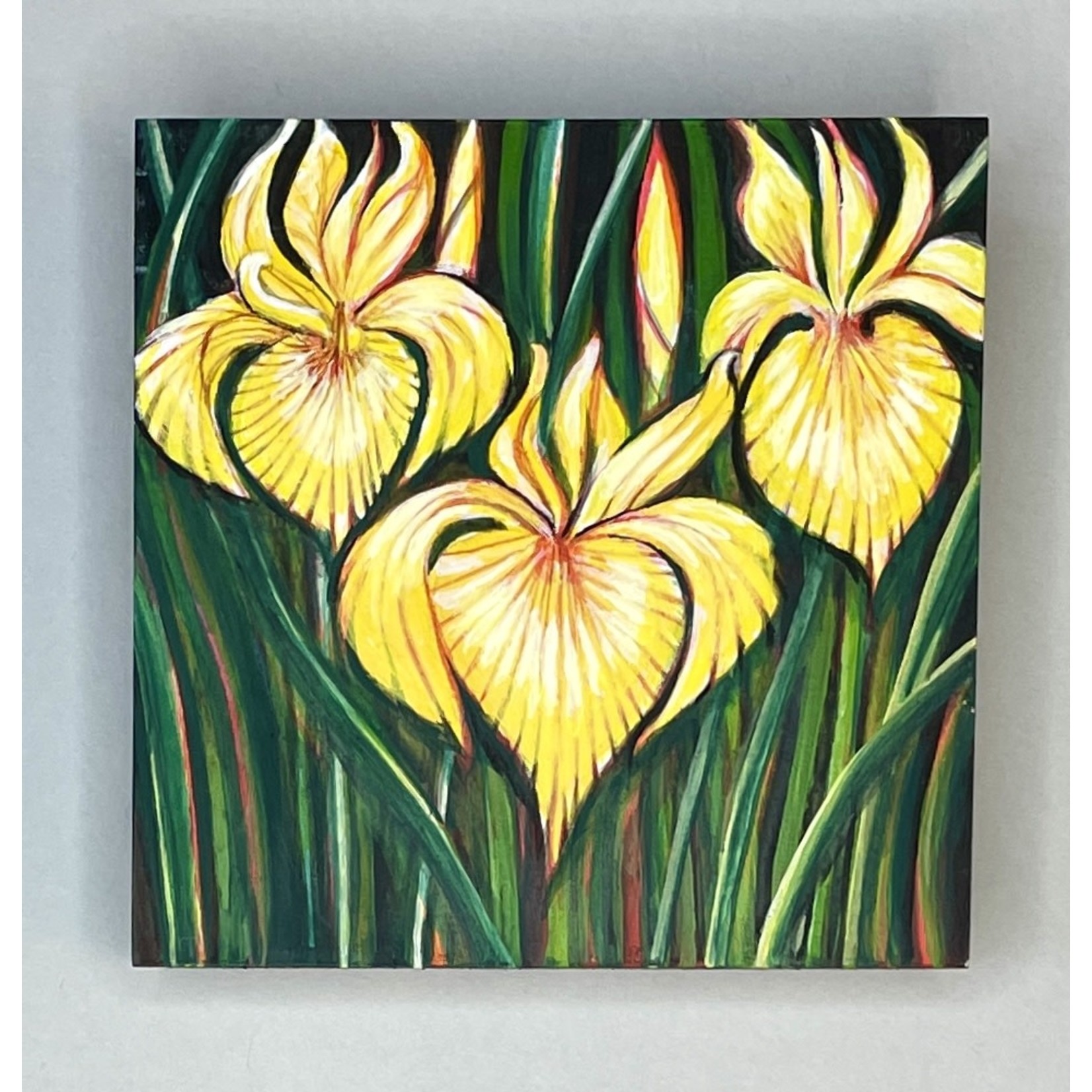 Alice Tersteeg Yellow Iris | Alice Tersteeg