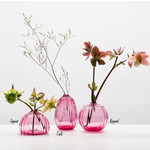 Little Tomato Glass Bud Vase - Ruby