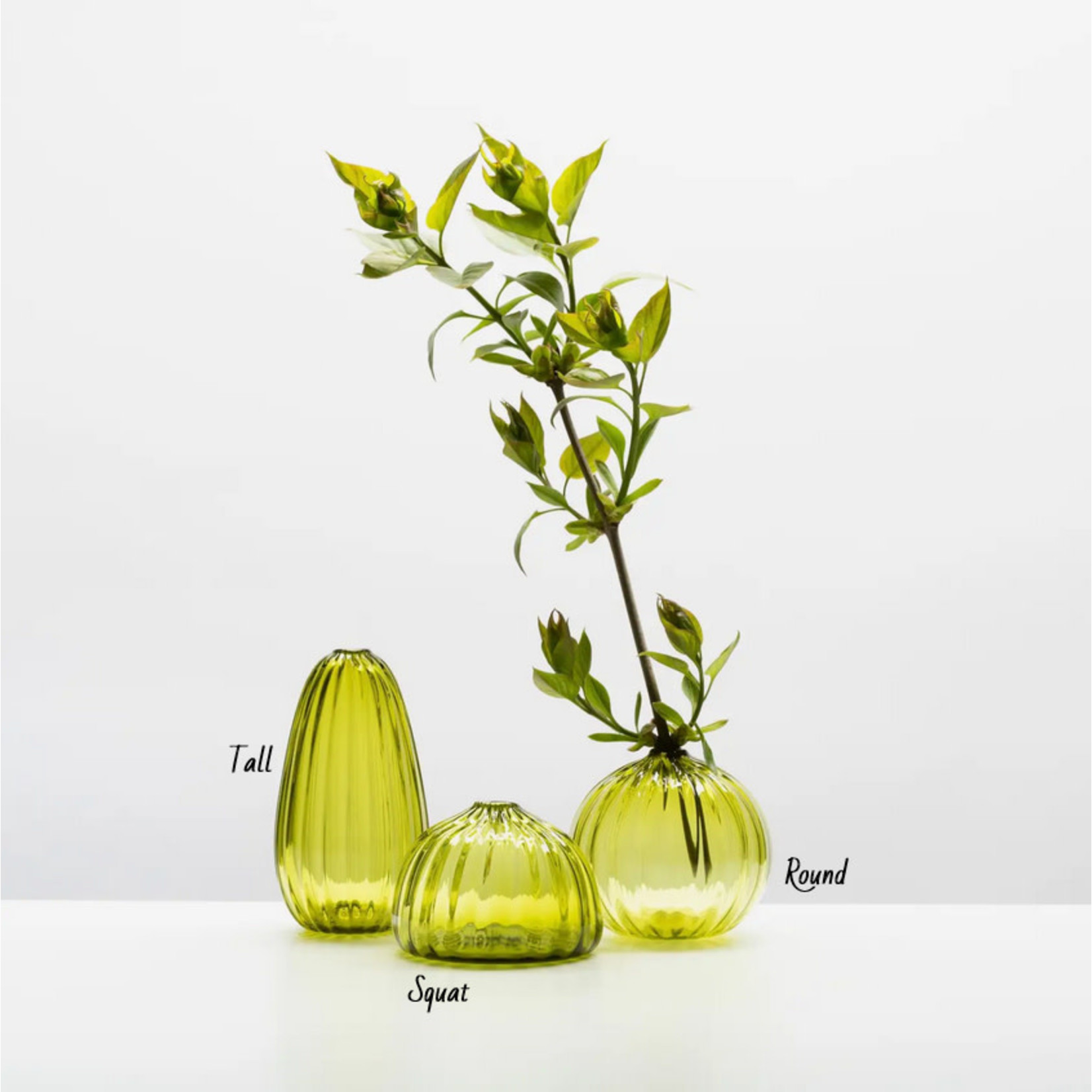 Little Tomato Glass Bud Vase - Olive | Little Tomato Glass
