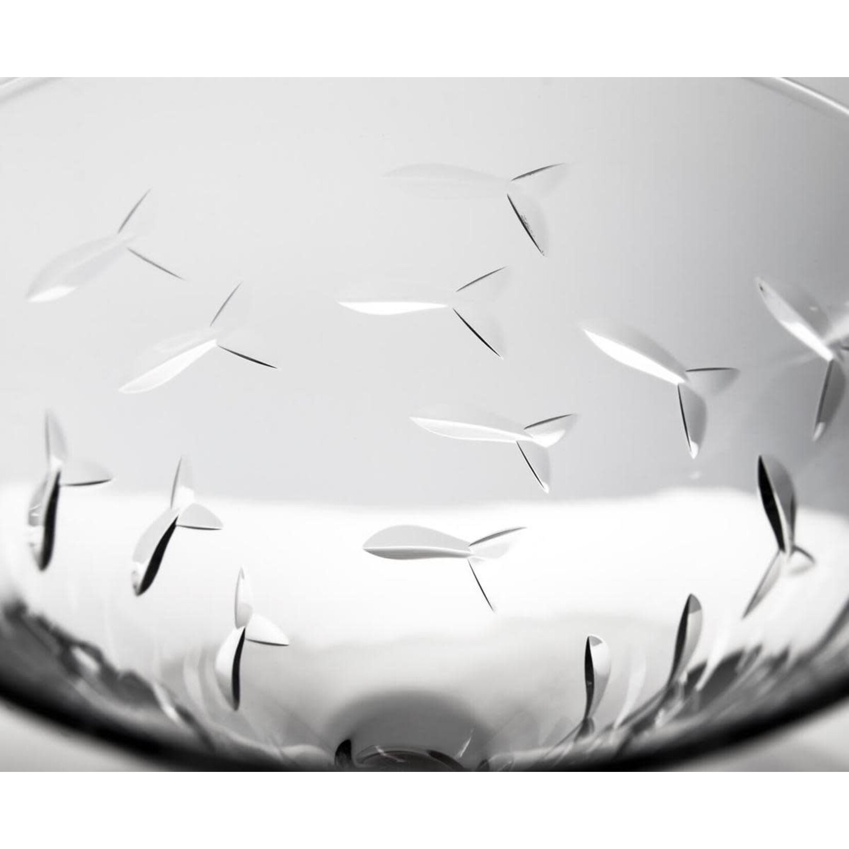 Rolf Glass Martini (10 oz) | Rolf Glass