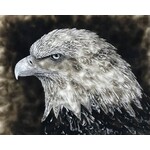 57° North Arts - Dillon Sprague Eagle Eye