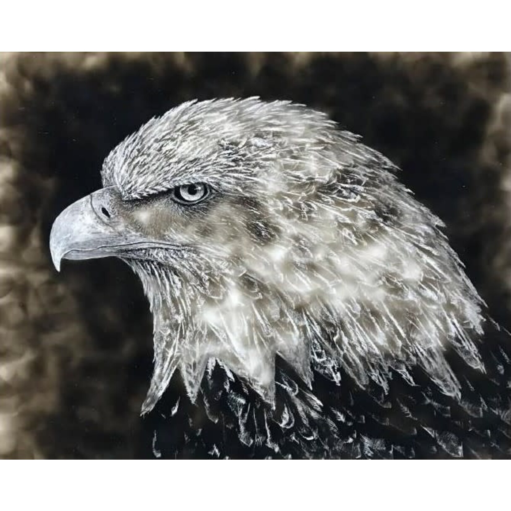 57° North Arts - Dillon Sprague Eagle Eye | Dillon Sprague