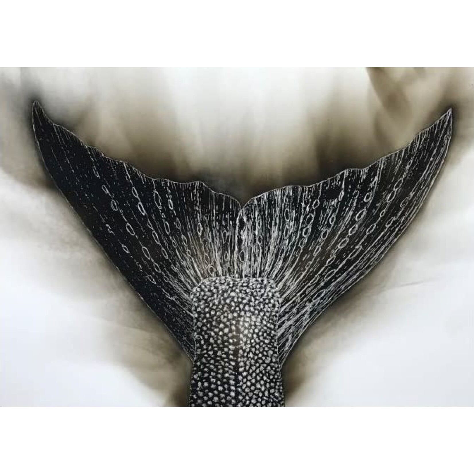 57° North Arts - Dillon Sprague Salmon Tail | Dillon Sprague