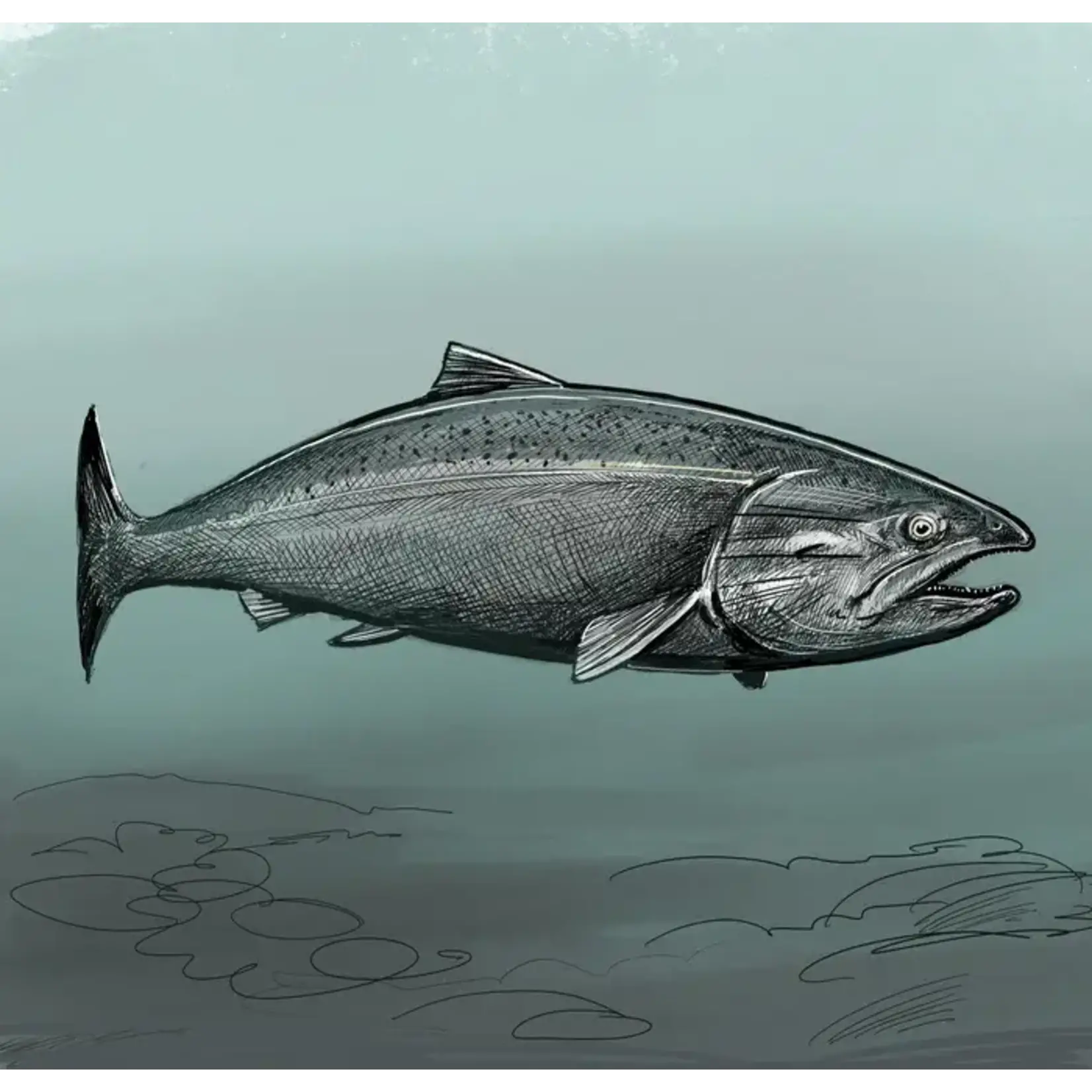 Tom Crestodina King Salmon No. 3 | Tom Crestodina