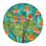 Elevate Art Studio Awakening to the Delight of Enchantment