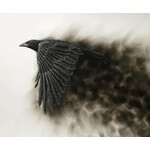 57° North Arts Born of Fire (Canvas Print)