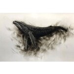 57° North Arts Humpback Whale (Canvas Print)