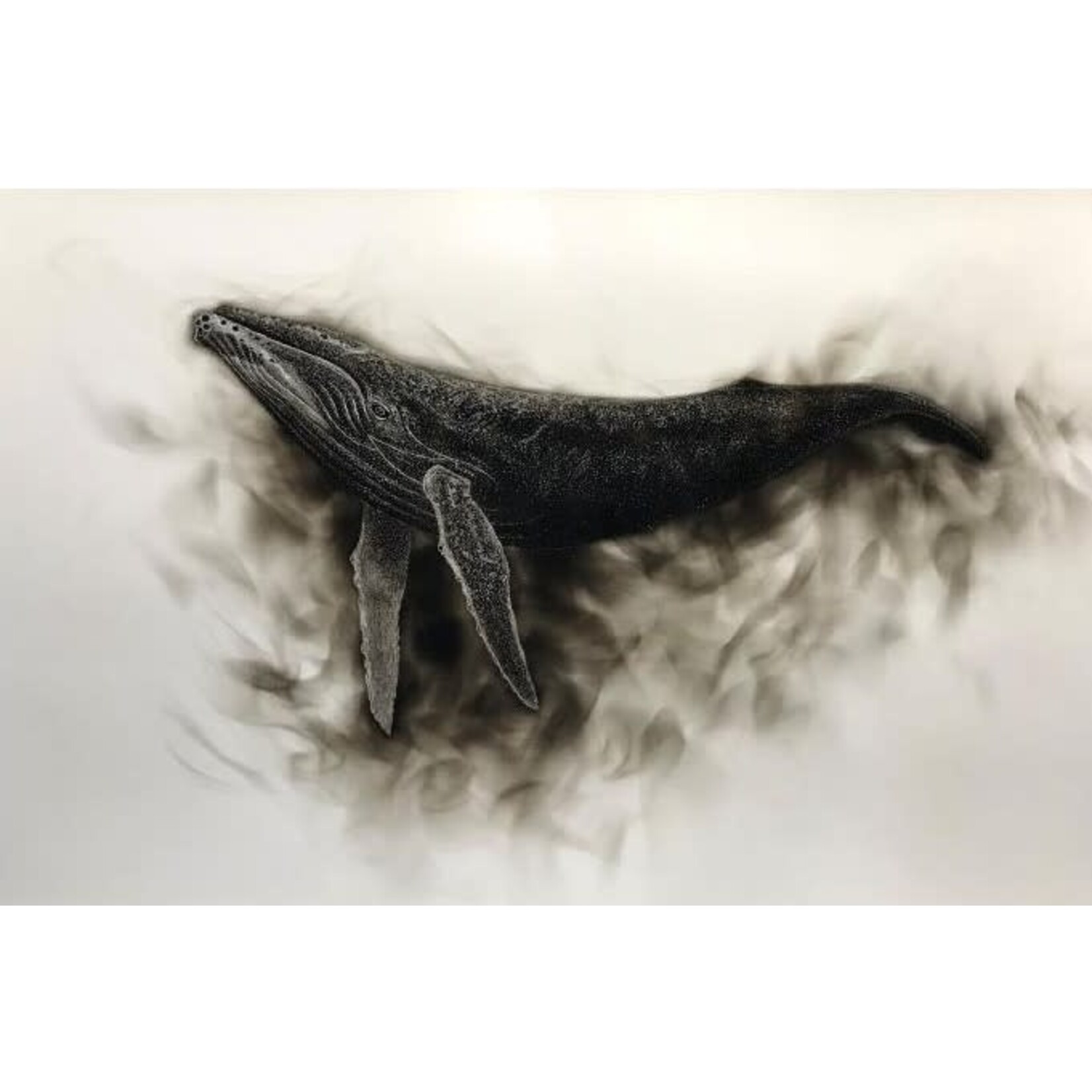 57° North Arts Humpback Whale (Canvas Print) | Dillon Sprague