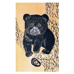 DogwoodStudioAlaska Black Bear Cub