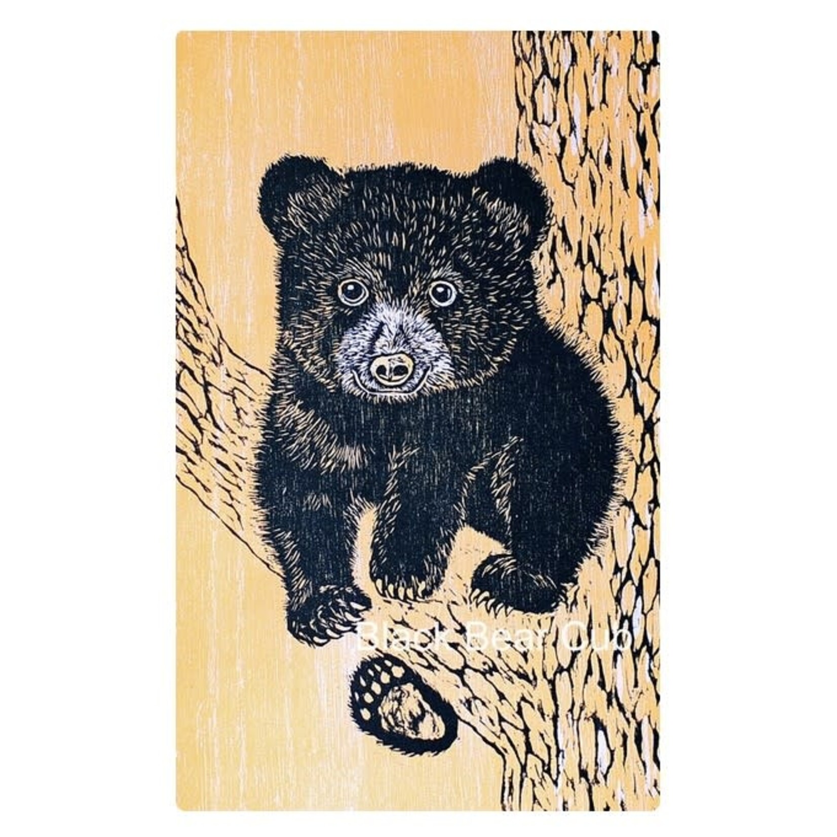 DogwoodStudioAlaska Black Bear Cub | Yumi Kawaguchi