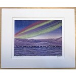 DogwoodStudioAlaska Arctic Dawn