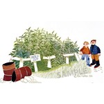 Rie Munoz Raspberry Patch (AP)