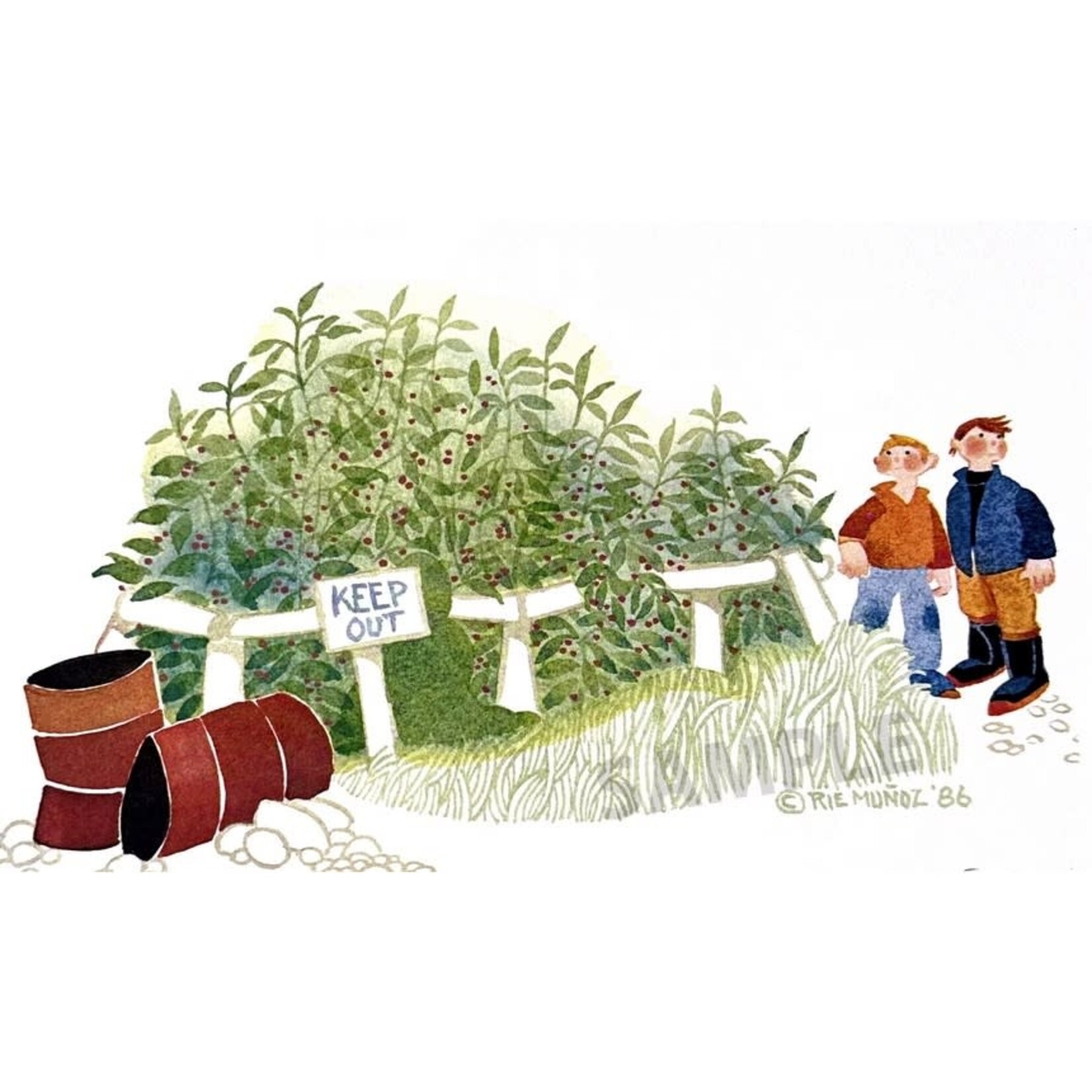 Rie Munoz Raspberry Patch (AP) | Rie Muñoz