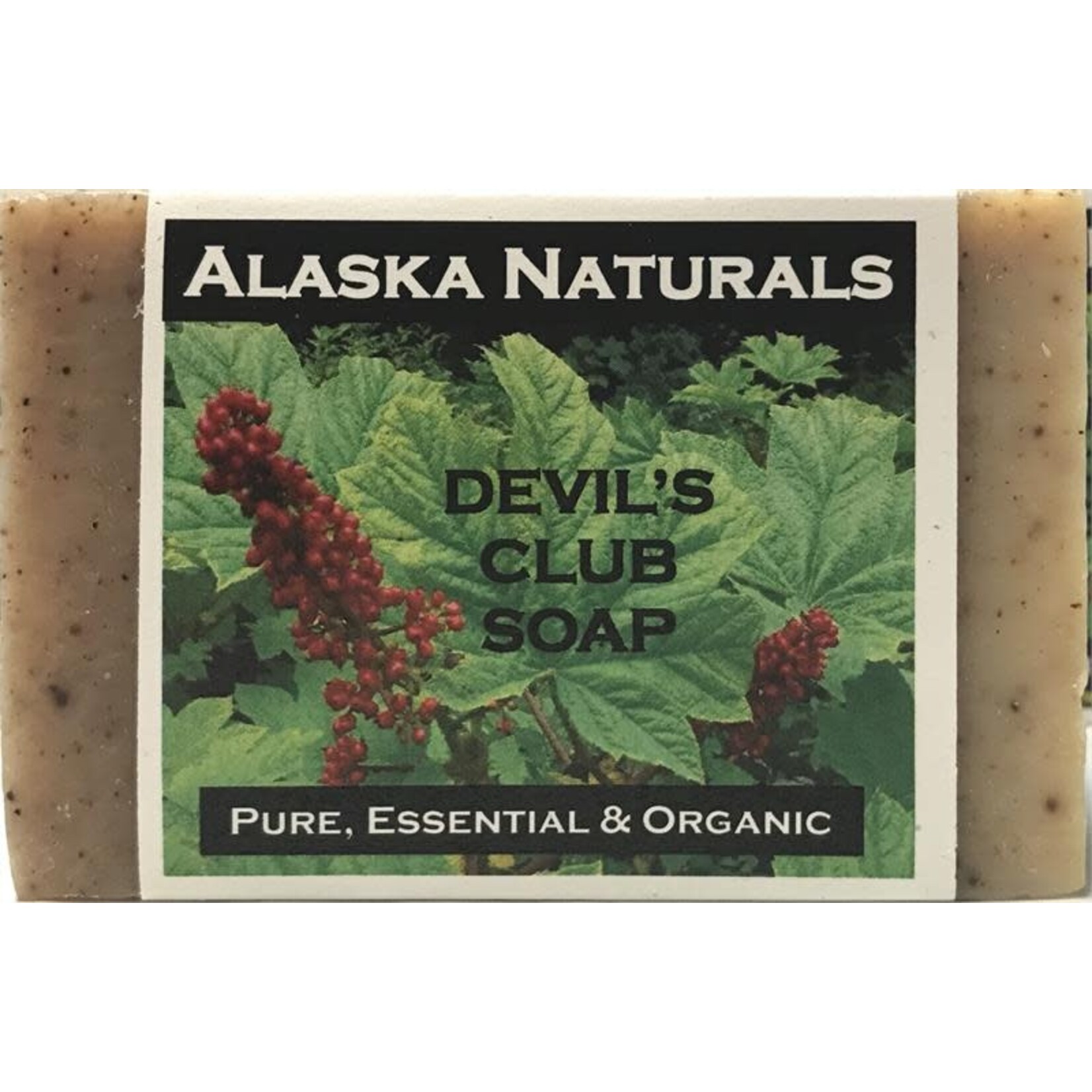 Wintersong Soap Company Devil's Club | WinterSong Soap Company