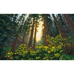 Grant Pecoff Song of the Forest