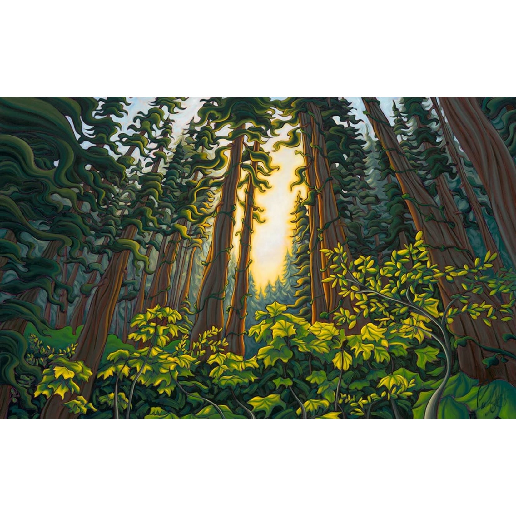 Grant Pecoff Grant Pecoff | Song of the Forest
