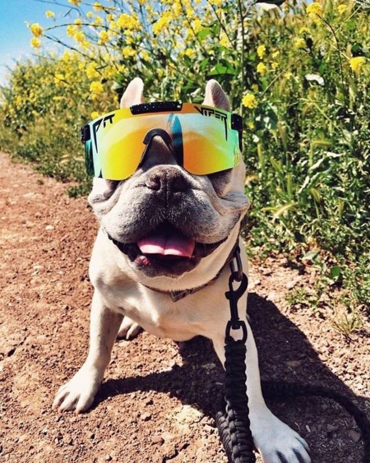 Pit Viper Pit Viper The Monster Bull Polarized Single Wide