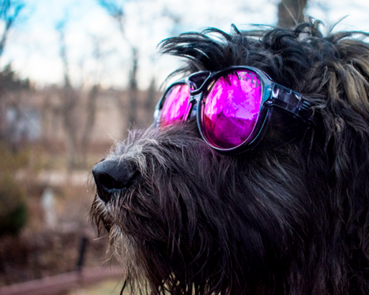 Pit Viper The Smoke Show Exciters | Polarized Z87+ Purple
