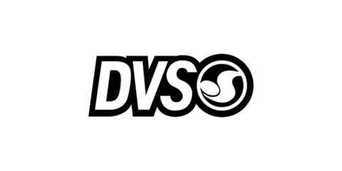 DVS