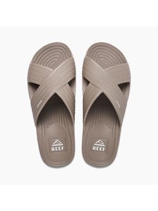 Reef Water X Slide | Mushroom