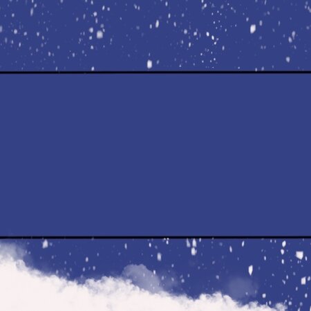 SNOWBOARD
