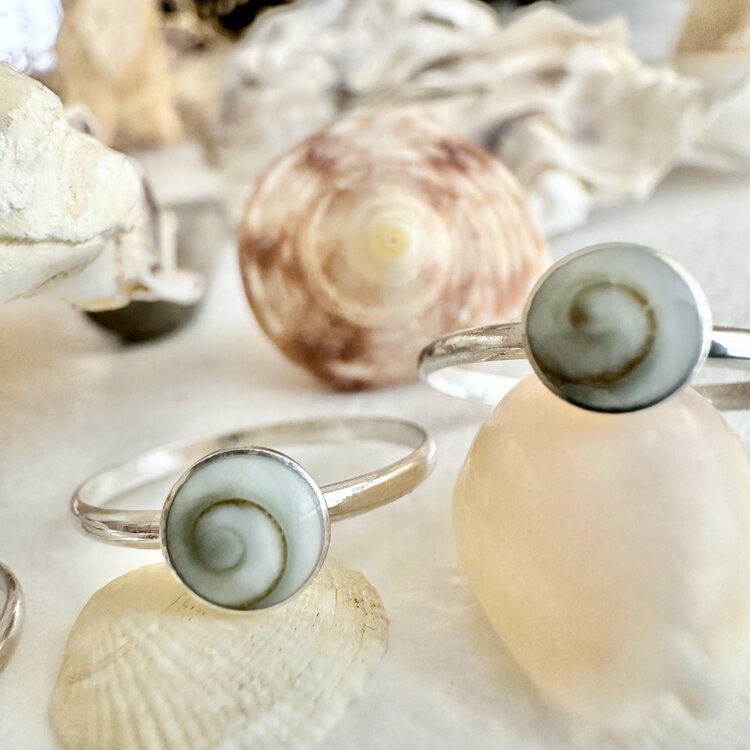 Pika & Bear Pika & Bear Kapa'a Shell Ring | Sterling Silver