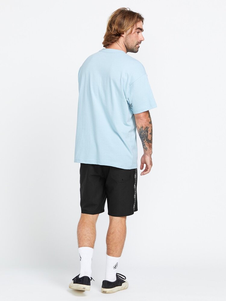 Volcom Volcom Entertainment Hockey Dad Stoney Trunks 19 | Black