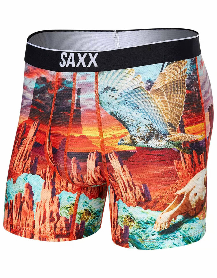 Saxx Saxx Volt Breathable Mesh Boxer Brief | Monument Valley- Multi